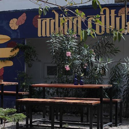 Indian Culture Vandrerhjem Rishīkesh Eksteriør bilde